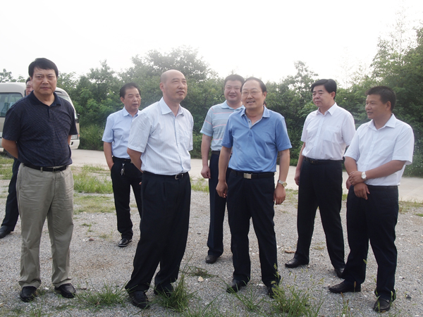 省林業(yè)產(chǎn)業(yè)集群調研組來廣義茶印象園調研