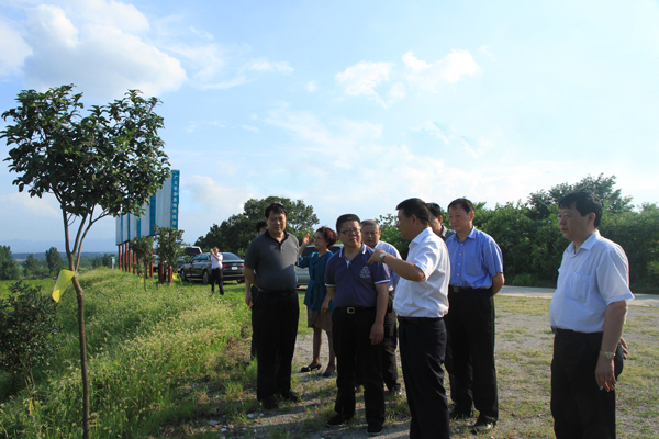 信陽市市長鄭志強陪同國家農(nóng)業(yè)部領(lǐng)導到廣義國家級茶葉標準園調(diào)研